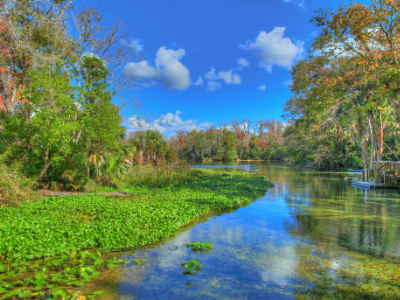 Blue Springs State Park in Florida