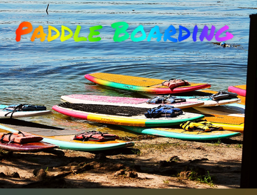 Paddle Boarding Winter Park Florida, several paddle boards on sandy water bank of Winter Park chain of Lakes